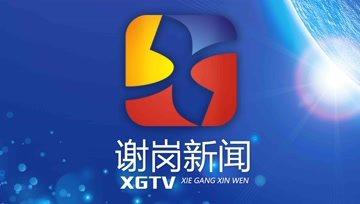 谢岗爆料新闻视频大全,聚焦热点事件，揭秘幕后真相